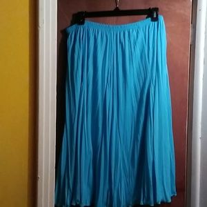 Pleated Skirt